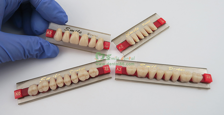 SA31 Synthetic Resin Teeth Three Layer